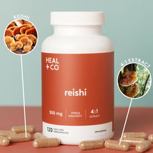 Load image into Gallery viewer, REISHI | STRESS + IMMUNITY