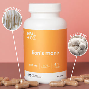 LION'S MANE | FOCUS + IMMUNITY