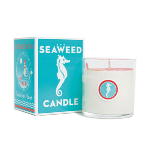 SWEDISH DREAM / SEAWEED CANDLE