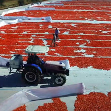 Load image into Gallery viewer, Sun-Dried Tomato Powder